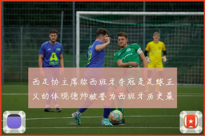 西足协主席称西班牙夺冠是足球正义的体现德帅被誉为西班牙历史最佳教练